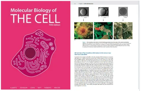 Molecular Biology of the Cell