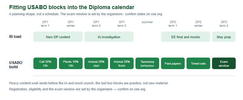 Two-lane timeline across the IB Diploma showing IB workload periods above and suggested USABO revision blocks below, ending at an exam window whose dates are set by the organisers