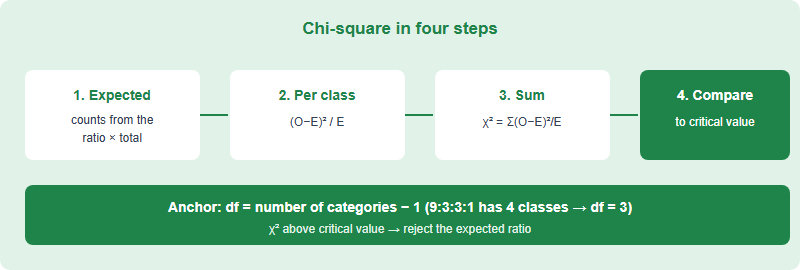 The four steps of a chi-square goodness-of-fit test with degrees of freedom highlighted
