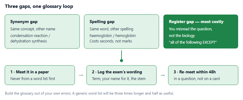 Diagram showing three types of language gap in USABO preparation - synonym gap, spelling gap and register gap - feeding into a three-step glossary loop: meet the term in a past paper, log it in the exam wording, then re-meet it within forty-eight hours