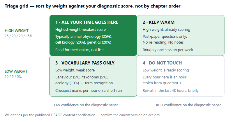 Starting Late: What a Compressed USABO Preparation Actually Looks Like