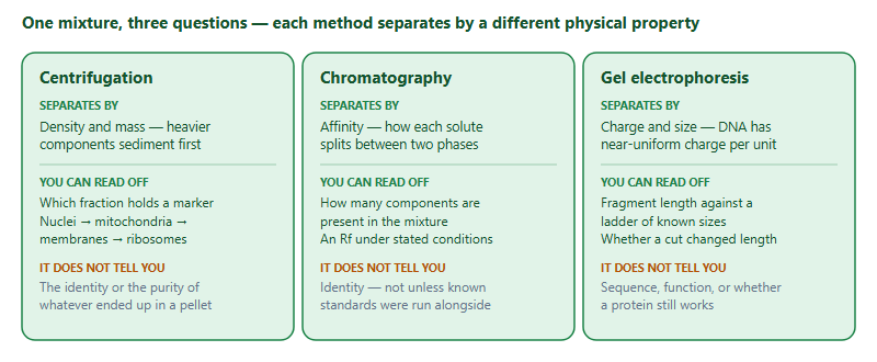 The Toolkit Gap: Lab and Molecular Techniques the USABO Assumes You Already Know