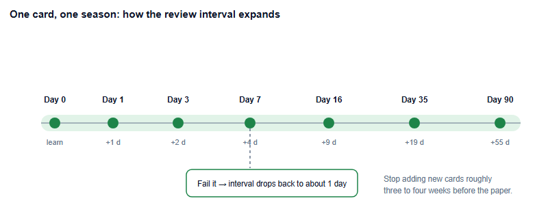 Expanding review interval ladder for a flashcard, from day zero through days one, three, seven, sixteen, thirty-five and ninety, with a lapse branch resetting the interval to about one day