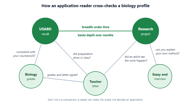 A web of five pieces of evidence that an application reader compares. USABO result and research project are linked by breadth under time backing depth over months. The USABO result is checked against biology grades for consistency, and against the teacher letter for whether preparation showed in class. The research project is checked against the teacher letter for whether an adult saw the work happen, and against the essay and interview for whether the student can explain their own method. Grades and the teacher letter are checked against each other.