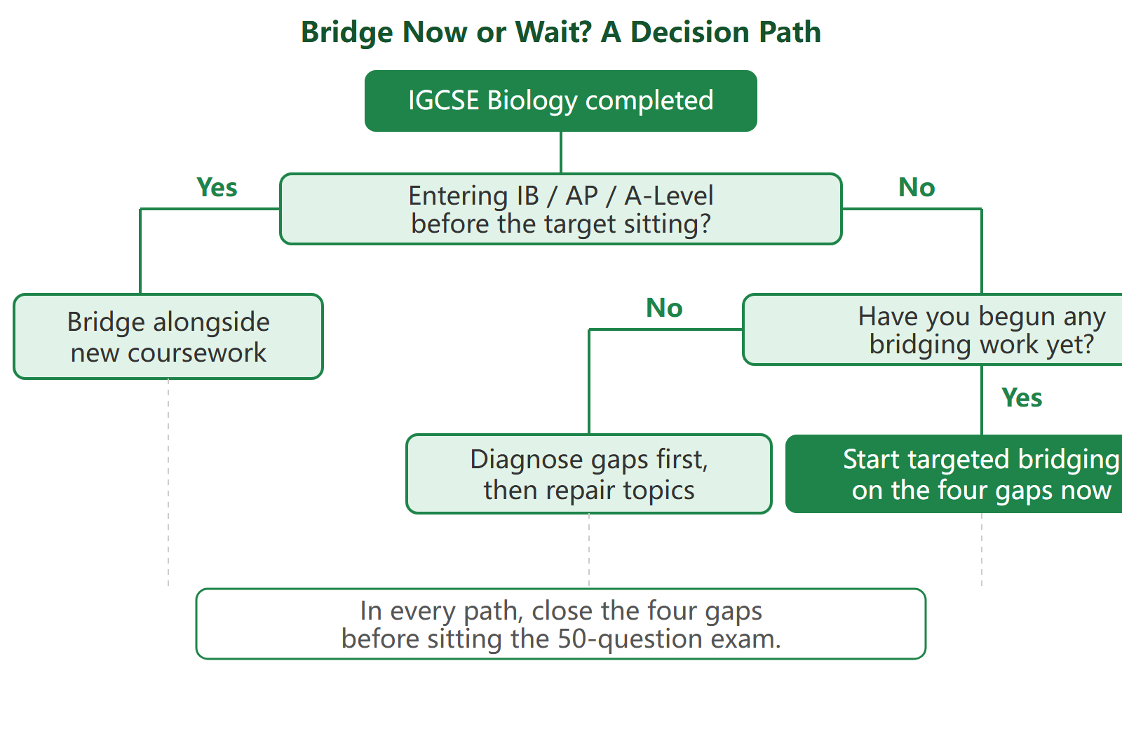 Decision flowchart for IGCSE students: whether to start USABO bridging now, bridge alongside senior coursework, or begin with a diagnostic and topic repair.