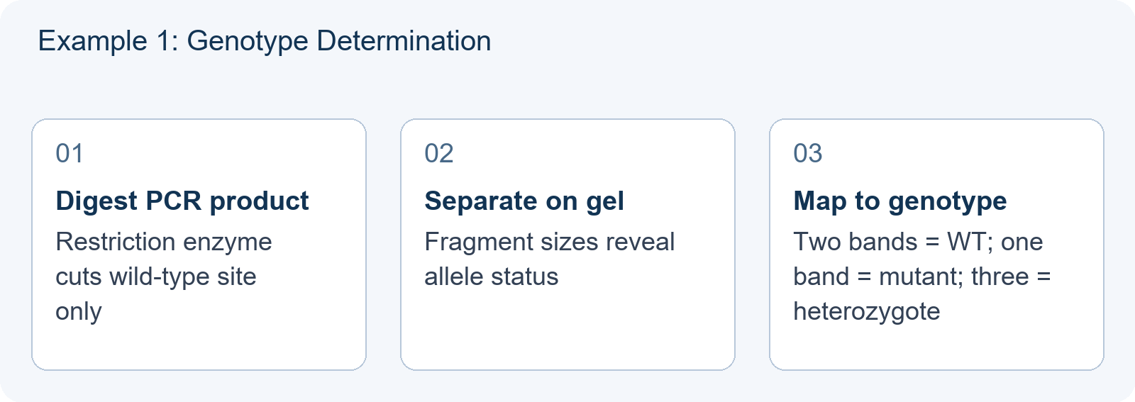 Example 1: Genotype Determination