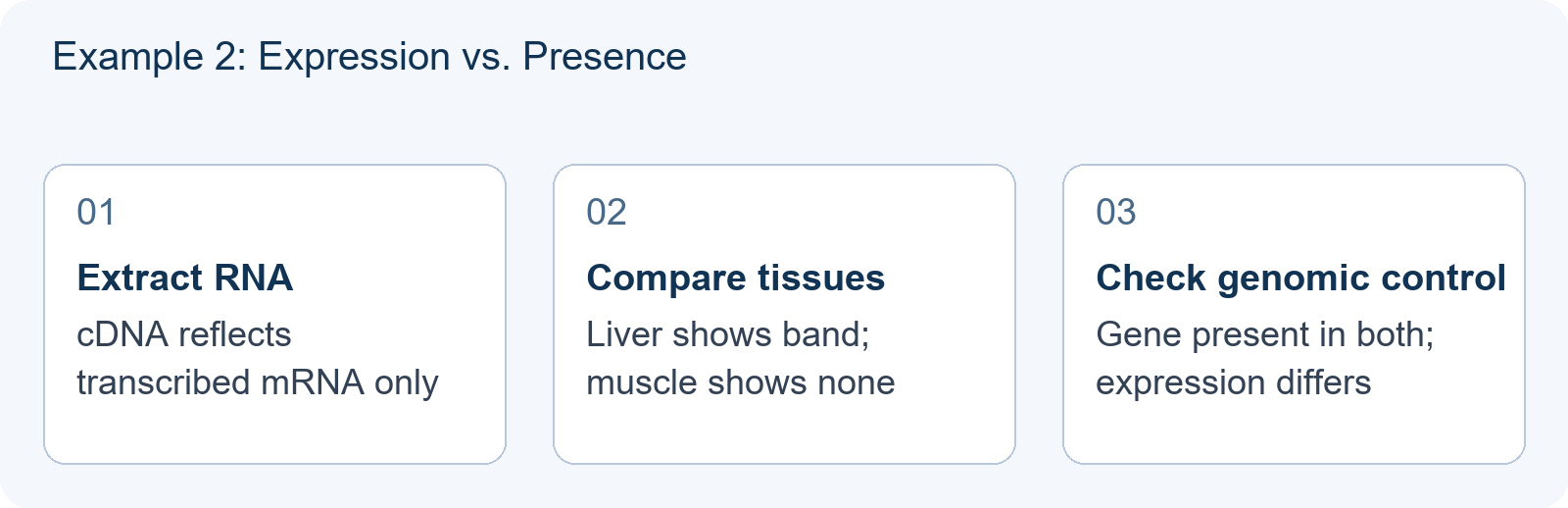 Example 2: Expression vs. Presence